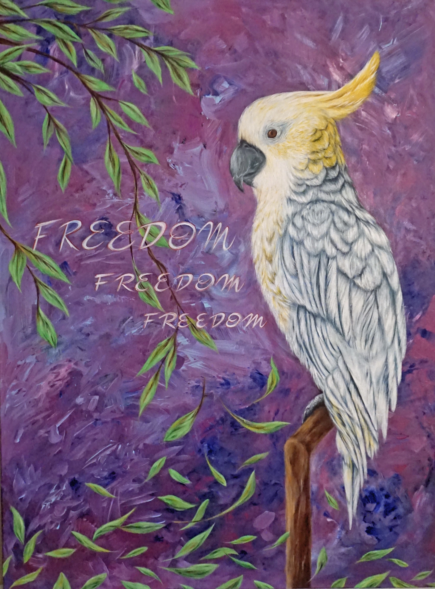 Click here to view Freedom Freedom Freedom by Erica Moen
